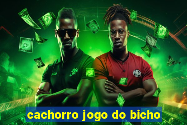 cachorro jogo do bicho