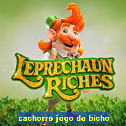 cachorro jogo do bicho