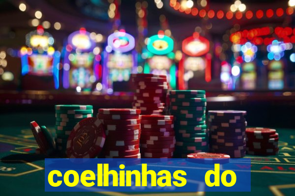 coelhinhas do brasil site