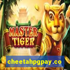 cheetahpgpay.com