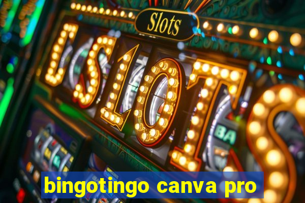 bingotingo canva pro