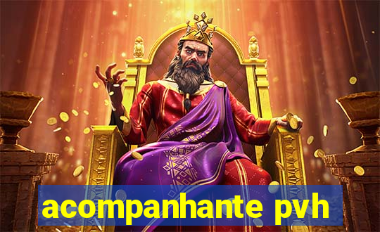 acompanhante pvh