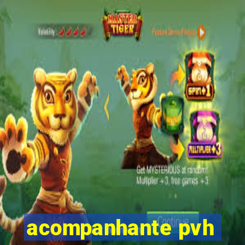 acompanhante pvh