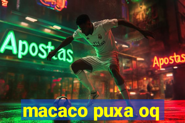 macaco puxa oq