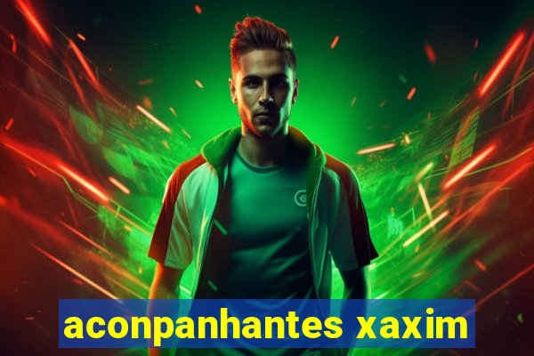 aconpanhantes xaxim