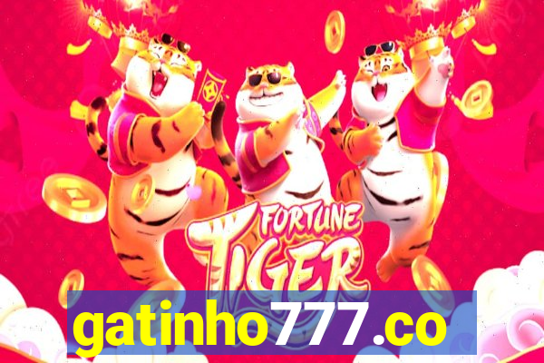 gatinho777.co