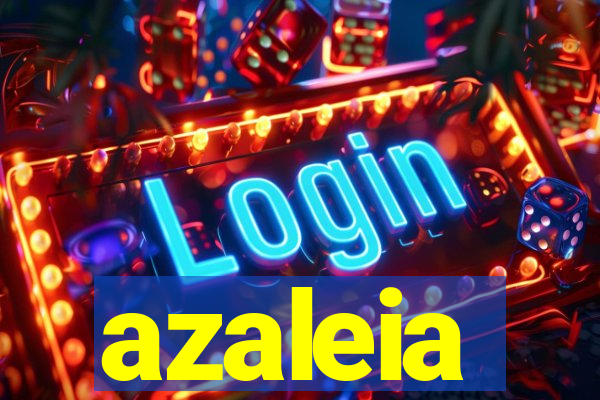 azaleia-br.com