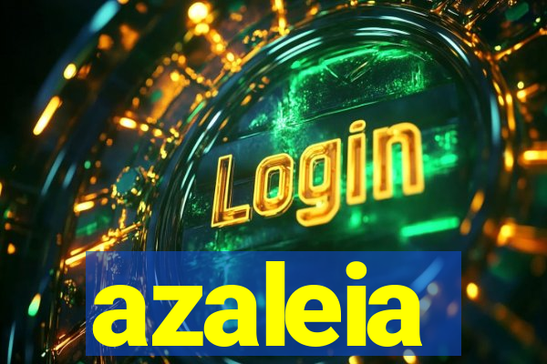 azaleia-br.com