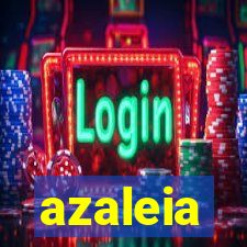 azaleia-br.com