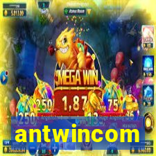 antwincom