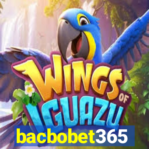 bacbobet365