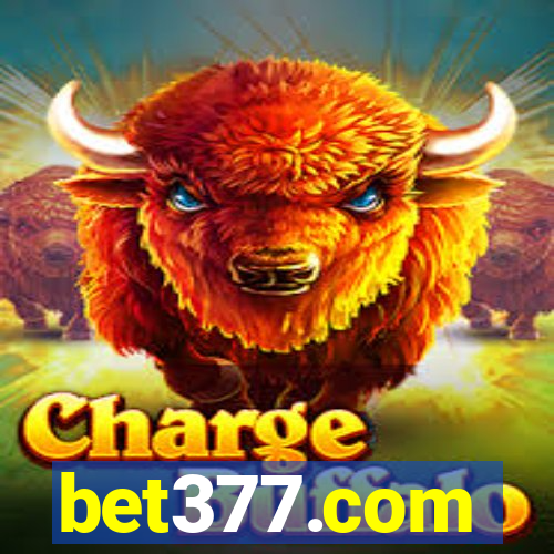 bet377.com