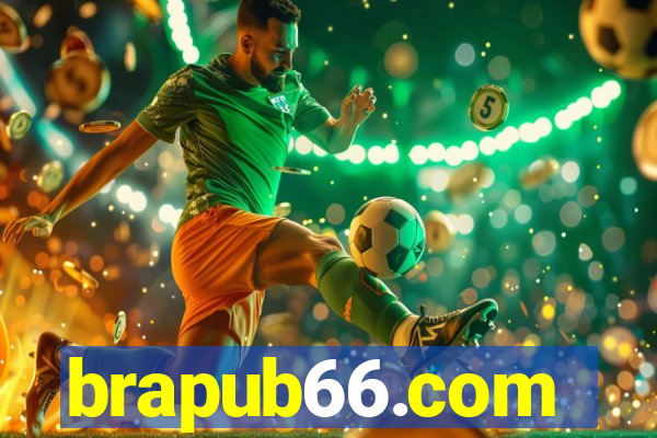 brapub66.com