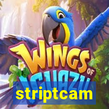 striptcam