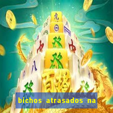 bichos atrasados na loteria federal