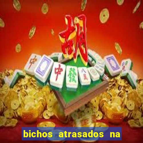 bichos atrasados na loteria federal