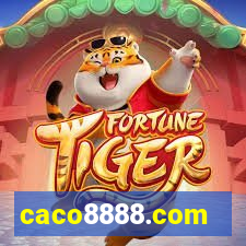 caco8888.com