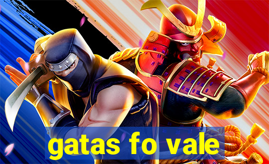 gatas fo vale