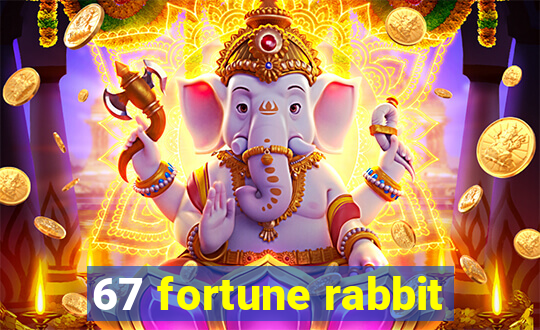 67 fortune rabbit