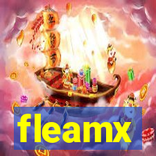 fleamx