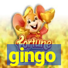 gingo