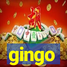 gingo