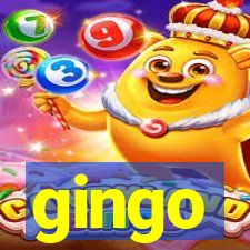 gingo