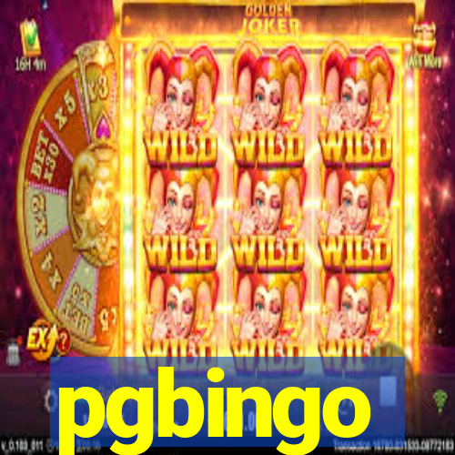 pgbingo