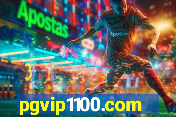 pgvip1100.com