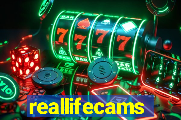 reallifecams