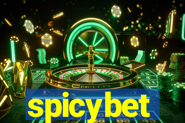 spicybet-2.com