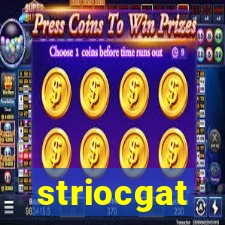 striocgat