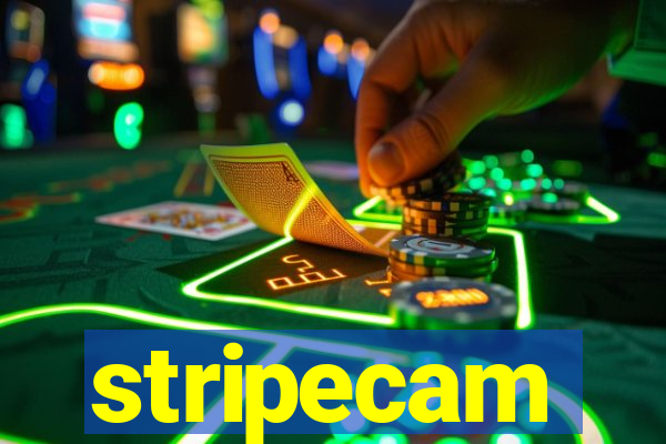 stripecam